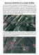 Ogłoszenie - Syndyk sprzeda działkę Stary Dębsk (Sochaczew) - Sochaczew - 70 500,00 zł