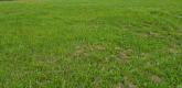 Ogłoszenie - Działka Budowlana (400 m2) okolica Samotworu MEDIA (Gałów) - Wrocław - 150 000,00 zł