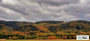 Ogłoszenie - Działka (6000 m2) Polanica-Zdrój - Kłodzko - 590 000,00 zł