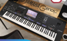 Ogłoszenie - Installment Wholesale suppliers of supplier of keyboards, synthesizer keyboards, pianos, DJ equipment  20% wholesle disc - Olkusz - 500,00 zł