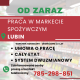 Ogłoszenie - Praca w markecie, Dino Polska S.A., Lubin - Lubin