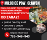 Ogłoszenie - Praca dla os. z orzecz., Dino Polska S.A., Miłocice - Oława