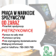 Ogłoszenie - Praca w markecie, Dino Polska S.A., Pietrzykowice - Wrocław
