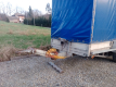 Ogłoszenie - Przyczepa 2-osiowa najazdowa SAM- DMC 6500kg. Miniaturka 4