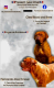 Ogłoszenie - Szczenięta Dogue de Bordeaux. Miniaturka 1