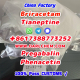 Ogłoszenie - pregabalin Brivaracetam Tianeptine raw crystal powder 148553-50-8 Low price. Miniaturka 5