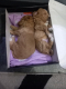 Ogłoszenie - Maltipoo – piękne szczenięta na sprzedaż. Miniaturka 7