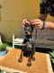 Ogłoszenie - Doberman szczenięta. Miniaturka 4