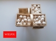 Ogłoszenie - Opakowania do białych pieczarek / białej pieczarki. Miniaturka 6