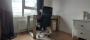 Ogłoszenie - Pokój (13met) okolice Komedy WINDA (Wrocław). Miniaturka 4