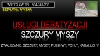 Ogłoszenie - Firma zwalczająca szczury w piwnicy, domy. tel. 504-746-203, Wrocław, cena. Miniaturka 1