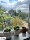 Ogłoszenie - 3pok, 72met, Okolice Zawalnej BALKON/KOMÓRKA/GARAŻ (Wrocław). Miniaturka 8