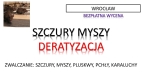 Ogłoszenie - Zwalczanie szczurów, gryzoni, deratyzacja i dezynfekcja, tel. 504-746-203, Wrocław, cennik. Miniaturka 1