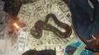 Ogłoszenie - #HOW TO JOIN SECRET OCCULT FOR RICHES AND POWERS  +2347073050297 #I WANT TO JOIN OCCULT TO BE RICH. Miniaturka 7