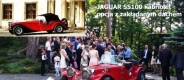 Ogłoszenie - Rzeszów dębica sanok krosno przemyśl tarnobrzeg mielec. Miniaturka 1