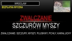 Ogłoszenie - Odszczurzanie, domu, budynku, Wrocław, tel. 504-746-203, cena, deratyzacja. Miniaturka 1