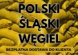 Ogłoszenie - POLSKI WĘGIEL : GROSZEK 5-25, 26-28MJ - Transport Gratis !. Miniaturka 1