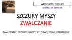 Ogłoszenie - Likwidacja szczurów, budynku, tel. 504-746-203, wytrucie gryzoni, myszy, Wrocław, cennik. Miniaturka 1