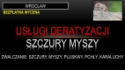 Ogłoszenie - Deratyzacja na szczury, tel. 504-746-203, Wrocław, cennik, zwalczanie. Miniaturka 1