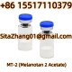 Ogłoszenie - Mt 2 10mg Melanotan II Melanotanii Acetate Lyophilized Peptide Mt2 Power Mt-2 10mg Melanotan 2 Acetate Skin Tanning Pept. Miniaturka 4