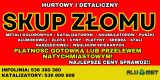 Ogłoszenie - SKUP ZŁOMU I KATALIZATORÓW NAJWYŻSZE CENY W POLSCE. Miniaturka 1