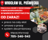 Ogłoszenie - Praca dla os. z orzecz., Dino Polska S.A., Wrocław ul. Poświęcka. Miniaturka 1