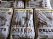 Ogłoszenie - Pellet PFEIPFER/ Timbory 6mm Propellet24 Opole. Miniaturka 4