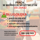 Ogłoszenie - Praca w markecie, Dino Polska S.A., Długołęka. Miniaturka 1