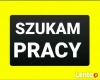Ogłoszenie - Szukam pracy dorywczej. Miniaturka 1
