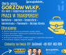 Ogłoszenie - Analityk ds. Transportu Gorzów Wielkopolski (K,M,X). Miniaturka 1