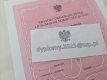 Ogłoszenie - Świadectwo Kup dyplom Kup dyplom inżyniera Kup dyplom magistra z wpisem Kupie dyplom Kupie dyplom inżyniera Kupię dyplom. Miniaturka 1