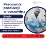 Ogłoszenie - Praca na słonecznej Korsyce!. Miniaturka 1
