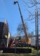 Ogłoszenie - Wynajem ładowarek teleskopowych DIECI ładowarka teleskopowa. Miniaturka 3