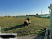 Ogłoszenie - Działka budowlana (3000 m2) MEDIA (Żórawina). Miniaturka 6