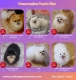 Ogłoszenie - Hodowla pomeranianów na sprzedaż. Miniaturka 4