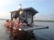 Ogłoszenie - Sauna ogrodowa - bania - domek rekreacyjny z bali. Miniaturka 10