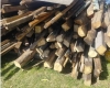 Ogłoszenie - Do  sprzedania w Gliwicach 40 m3 drewna z starej więźby. Miniaturka 1