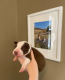 Ogłoszenie - ZOSTAŁO 1! WYJĄTKOWE *UNIKALNE* BORDER COLLIE. Miniaturka 4