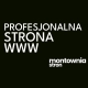 Ogłoszenie - Strony internetowe Kraków - od 100 zł/mies. lub 2000 zł jednorazowo. Miniaturka 1