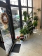 Ogłoszenie - Lokal usługowy (16 m2) Krzyki KLIMATYZACJA (Wrocław). Miniaturka 2