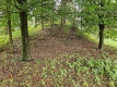 Ogłoszenie - Działka budowlana (6000 m2) okolice Twardogóry JEZIORO/LAS. Miniaturka 5