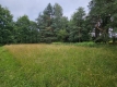 Ogłoszenie - Działka budowlana (6000 m2) okolice Twardogóry JEZIORO/LAS. Miniaturka 6
