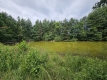 Ogłoszenie - Działka budowlana (6000 m2) okolice Twardogóry JEZIORO/LAS. Miniaturka 7