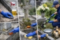 Ogłoszenie - Prace cmentarne, osobowice, grabiszyn, bujwida, Brochów, tel. 504-746-203, bardzka, usługi na cmentarzu. Miniaturka 1