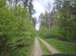 Ogłoszenie - Działka inwestycyjna (3012 met) okolice Wrocławia (Ostrowina). Miniaturka 4