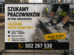 Ogłoszenie - praca Norwegia, oslo. Brukarz / Pracownik robót ziemnych (m/k), bez języka, od zaraz. Miniaturka 1