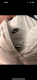 Ogłoszenie - Biały puchowy płaszcz Nike rozmiar M. Miniaturka 3