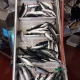 Ogłoszenie - Wholesale Frozen Atlantic Mackerel for Sale. Miniaturka 2