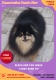 Ogłoszenie - Hodowla Pomeranian oferuje młode suczki na sprzedaż. Miniaturka 2