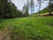 Ogłoszenie - Działka BUDOWLANA i dom. 31 ary Bieszczady, Bóbrka, k. SOLINA. Miniaturka 7